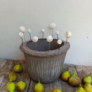 Otros Jardínes