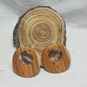 Pendientes Luna