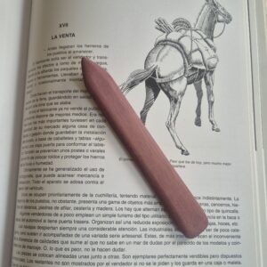 PLEGADERA